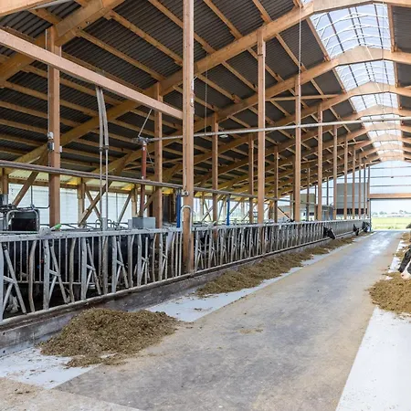 Friesenhof Janssen - Urlaub Auf Dem Bauernhof