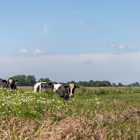 Friesenhof Janssen - Urlaub Auf Dem Bauernhof Lejlighed