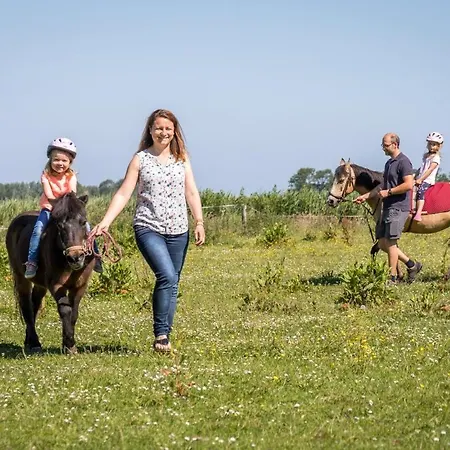 Friesenhof Janssen - Urlaub Auf Dem Bauernhof Neuharlingersiel
